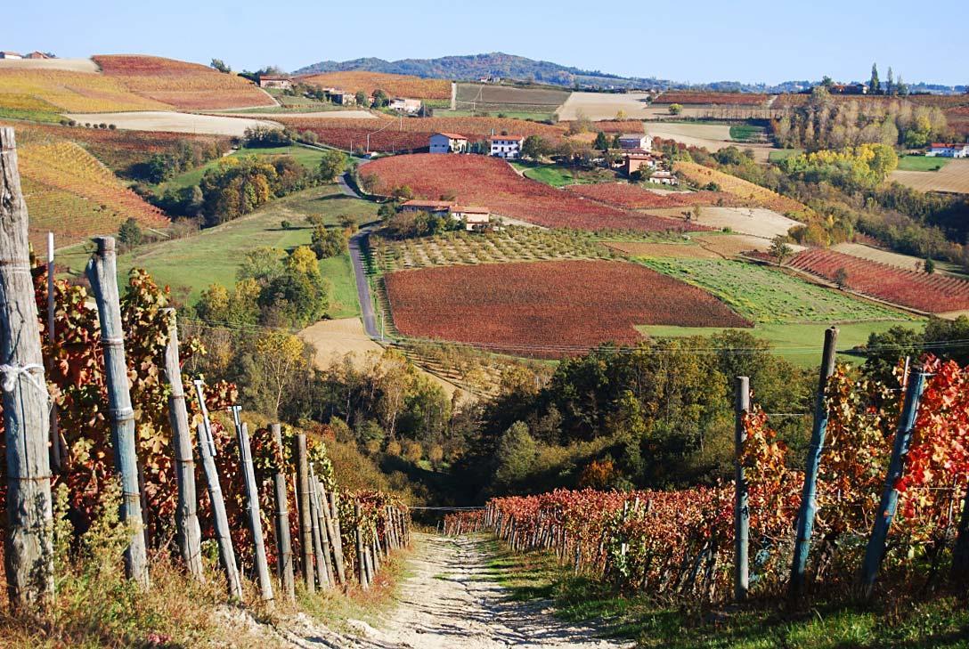Bed & Breakfast 9 Vini
